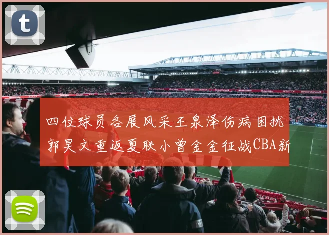 四位球员各展风采王泉泽伤病困扰郭昊文重返夏联小曾金金征战CBA新赛季